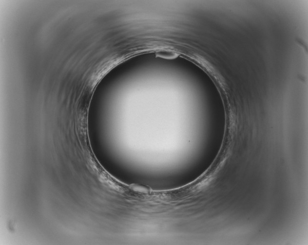 X0000102251001200807251318
