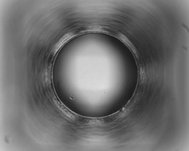 X0000102251002200807251318