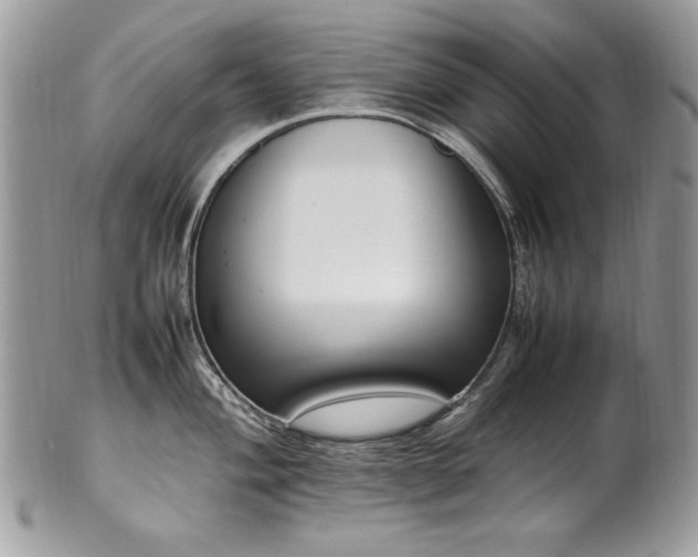 X0000102251004200807251318