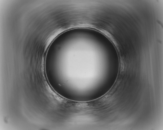 X0000102251006200807251318