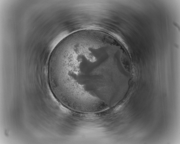 X0000102251007200807251318