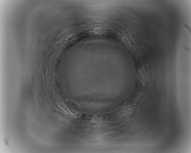 X0000102251009200807251317