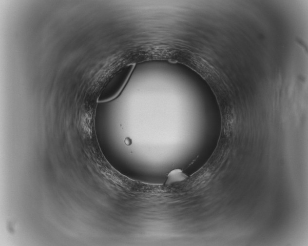 X0000102251010200807251317
