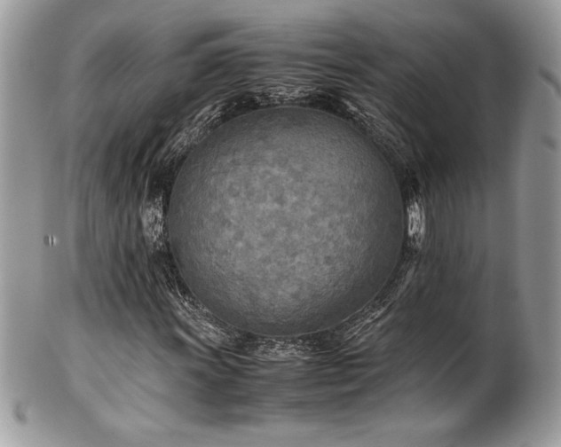 X0000102251011200807251317