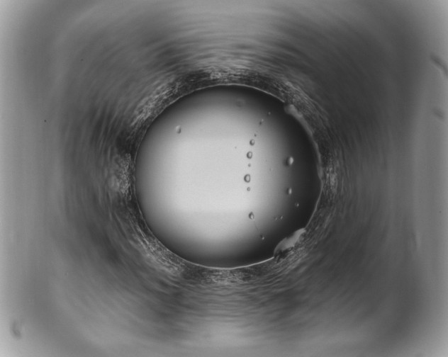 X0000102251012200807251317