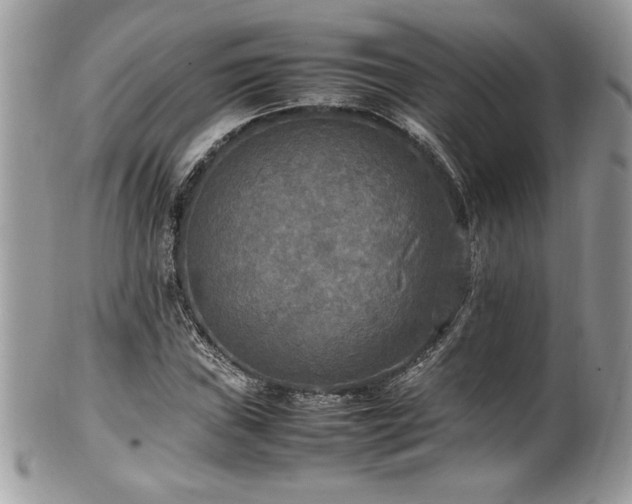 X0000102251019200807251317