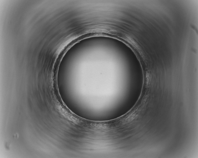 X0000102251020200807251317