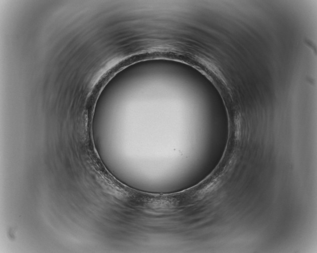 X0000102251021200807251317