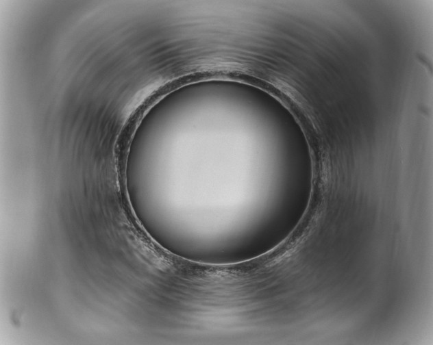 X0000102251022200807251317