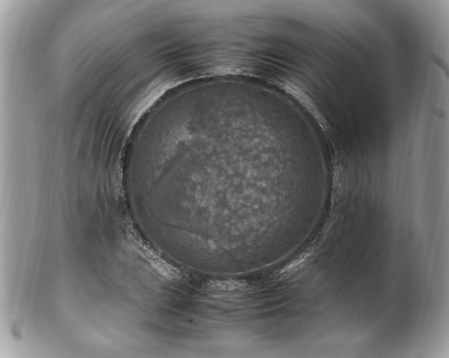 X0000102251023200807251317