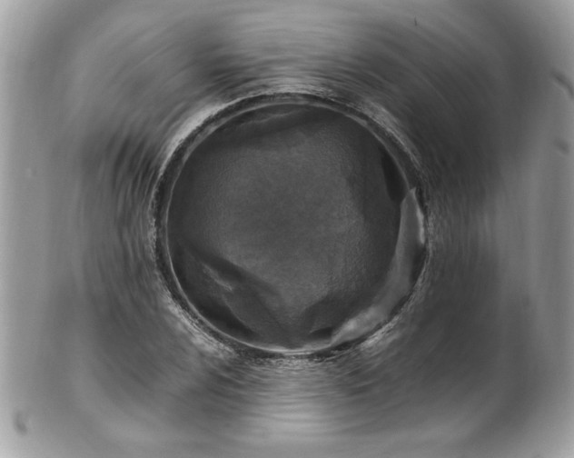 X0000102251024200807251317
