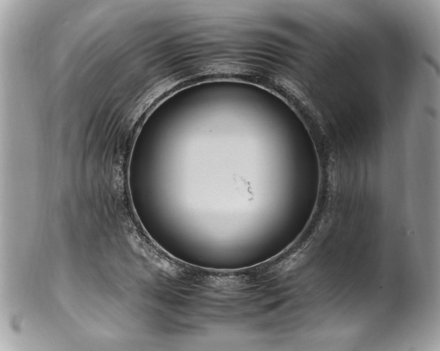 X0000102251025200807251317