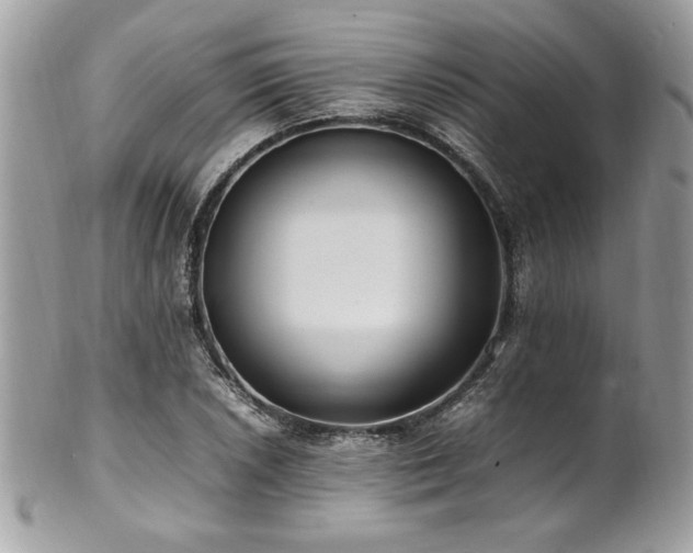 X0000102251026200807251317