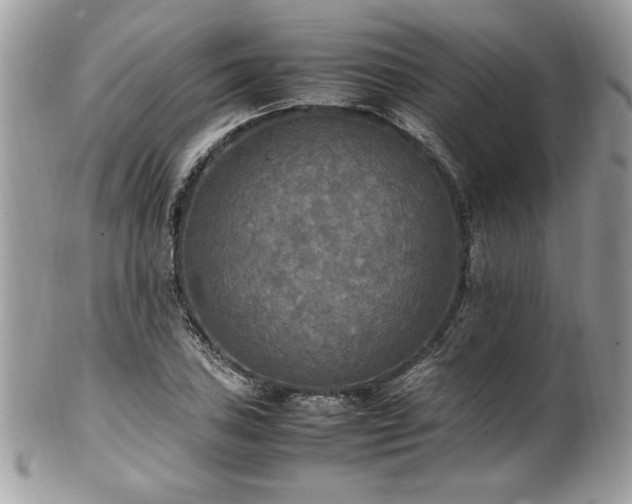 X0000102251027200807251317