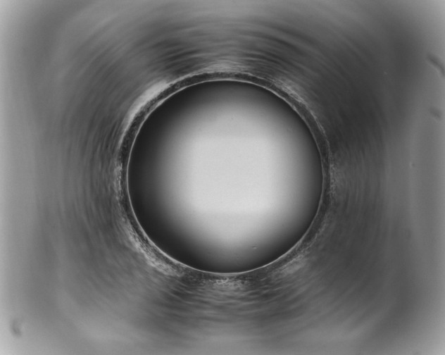 X0000102251029200807251317