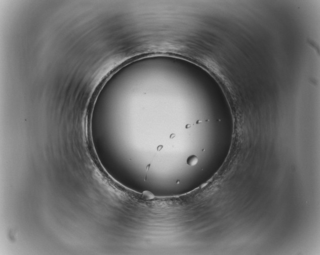 X0000102251032200807251317