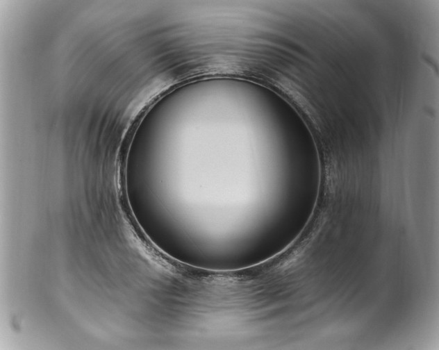 X0000102251034200807251317