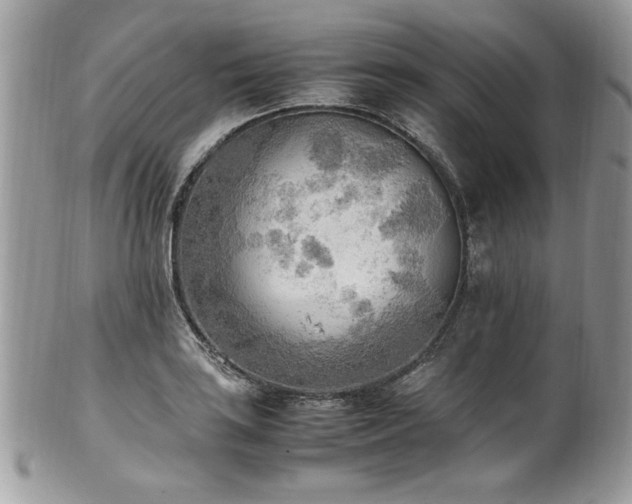 X0000102251035200807251317
