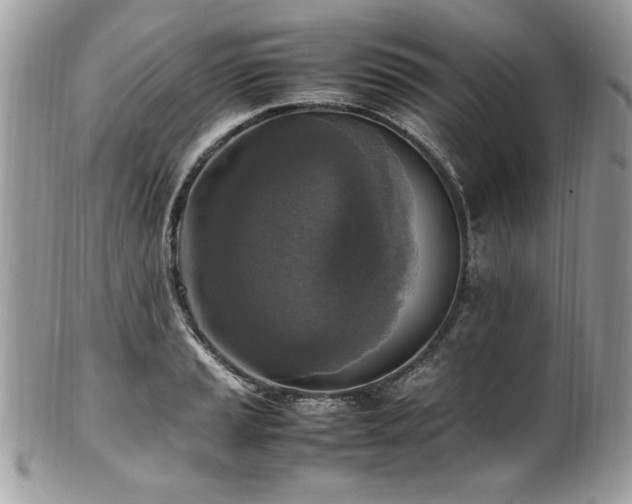 X0000102251037200807251317
