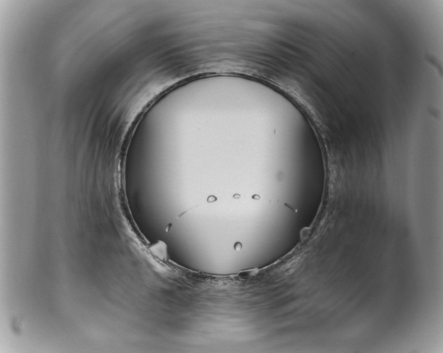 X0000102251040200807251317