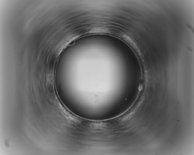 X0000102251041200807251317