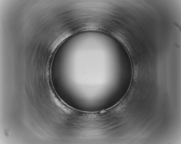 X0000102251042200807251317
