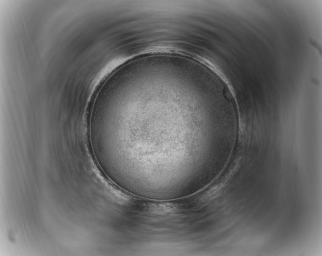X0000102251045200807251317