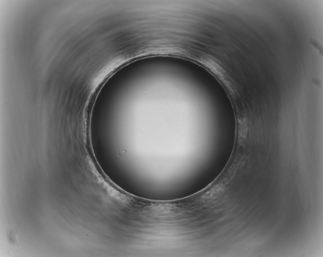 X0000102251046200807251317