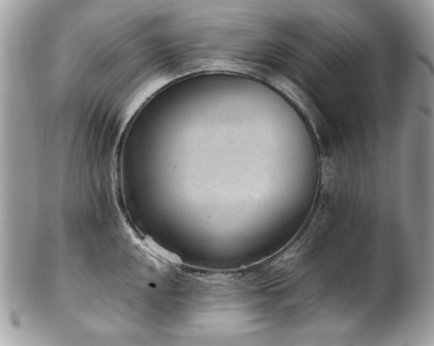 X0000102251048200807251317
