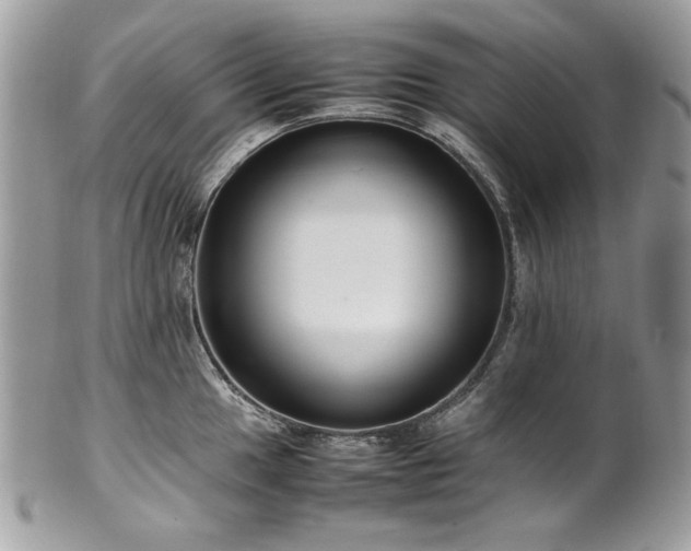 X0000102251049200807251318