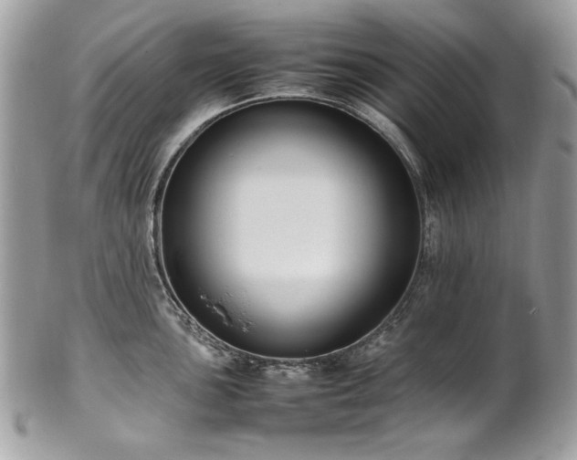X0000102251051200807251318