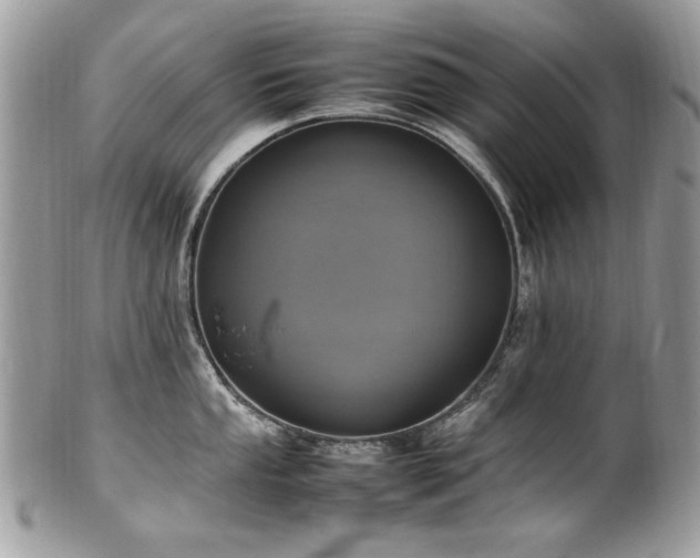 X0000102251053200807251318