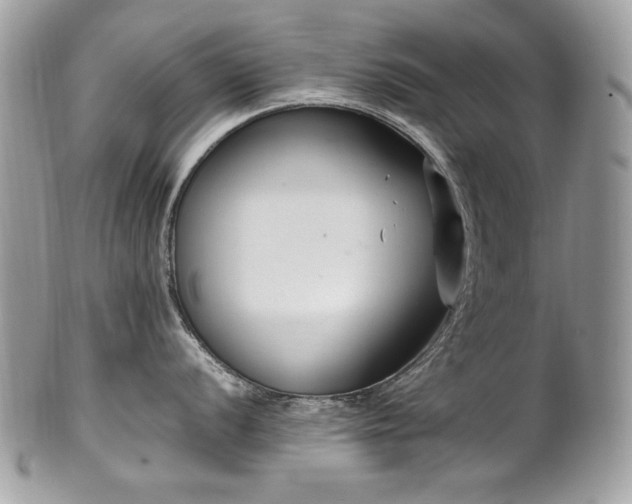 X0000102251056200807251318