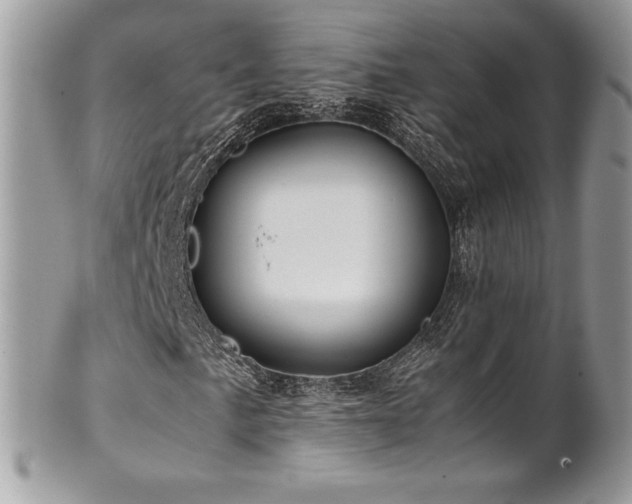 X0000102251057200807251317