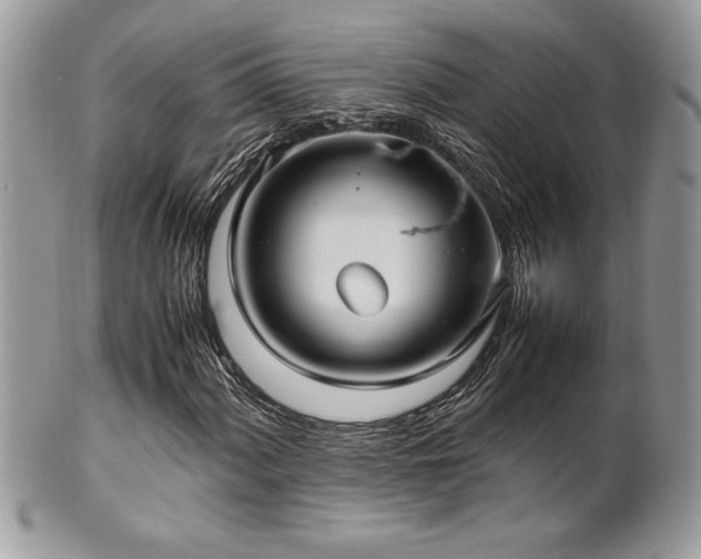 X0000102251060200807251317