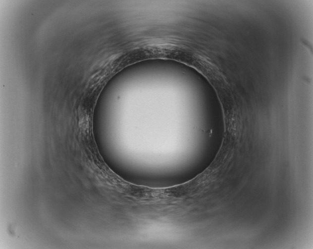 X0000102251061200807251317