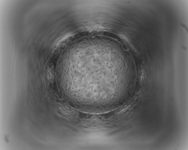 X0000102251063200807251317