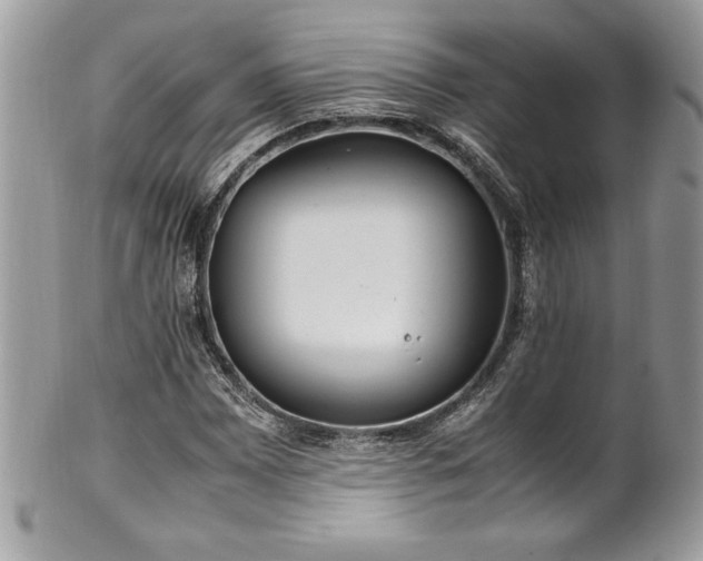 X0000102251065200807251317