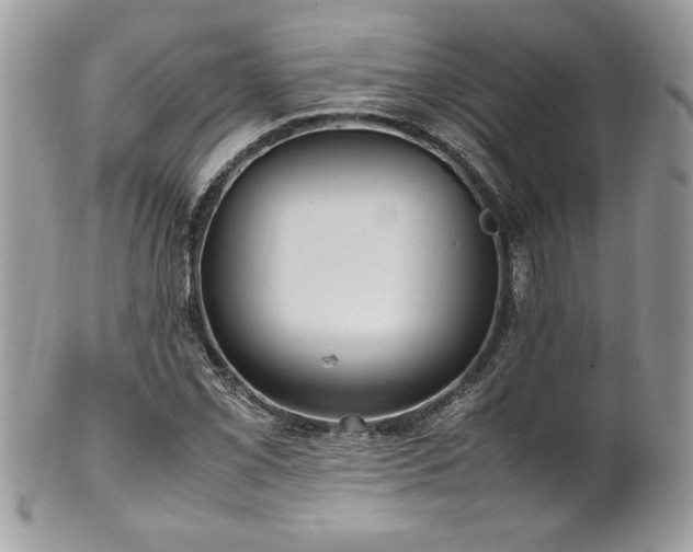 X0000102251069200807251317