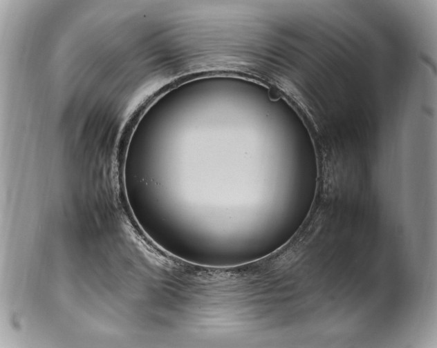X0000102251072200807251317