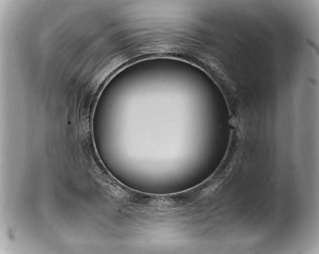 X0000102251073200807251317