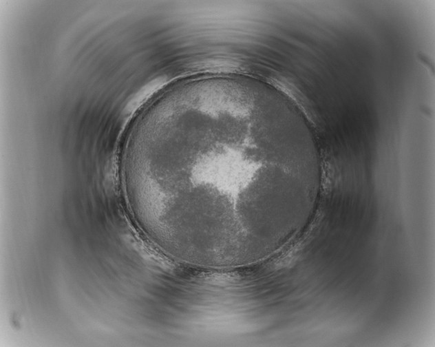 X0000102251074200807251317