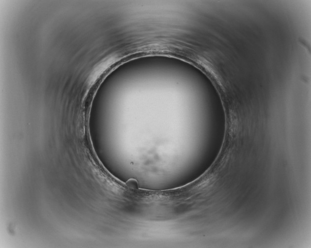 X0000102251075200807251317