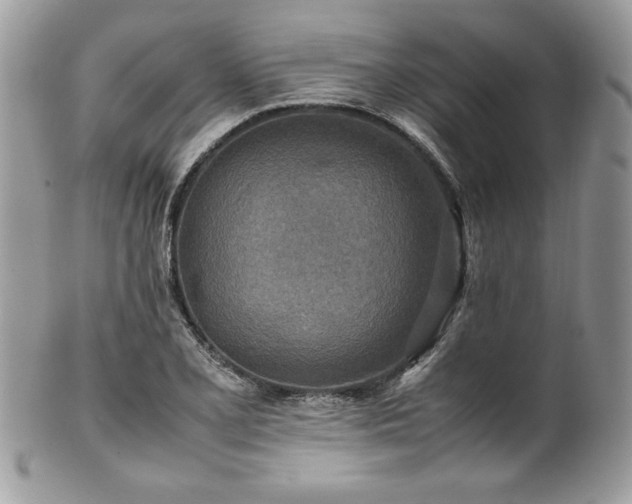 X0000102251077200807251317