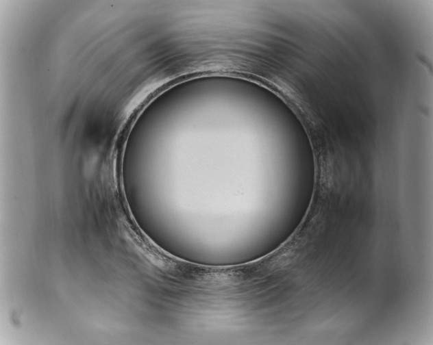X0000102251078200807251317