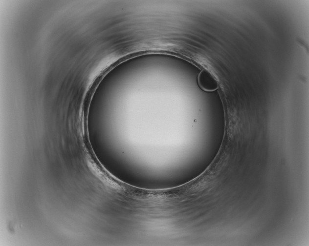 X0000102251080200807251317