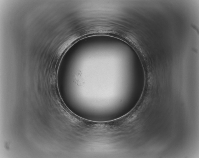 X0000102251081200807251317
