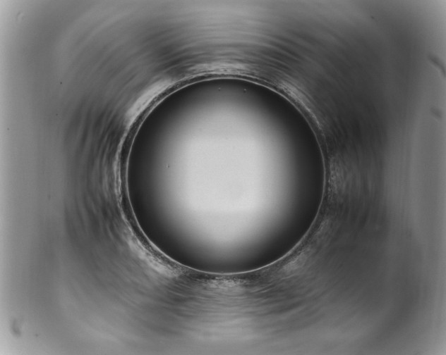 X0000102251082200807251317