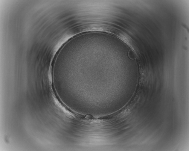 X0000102251084200807251317