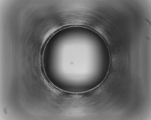 X0000102251085200807251317
